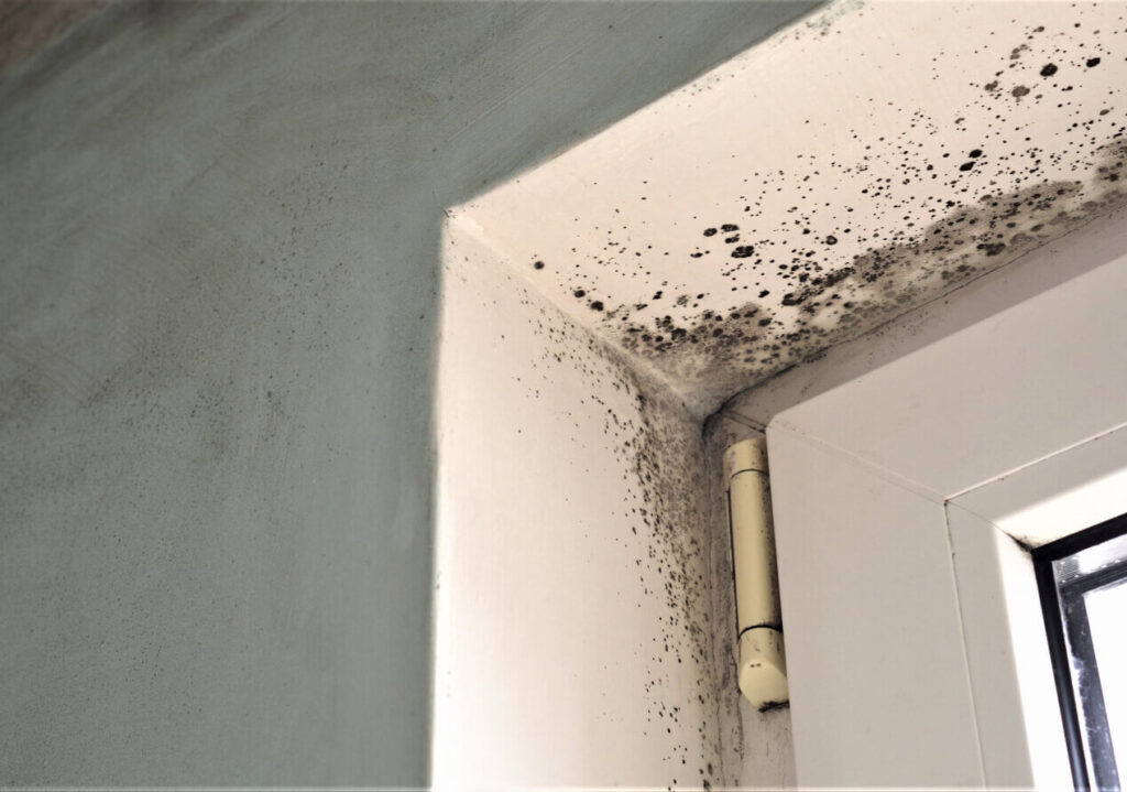 How to Kill Mold on a Window Sill