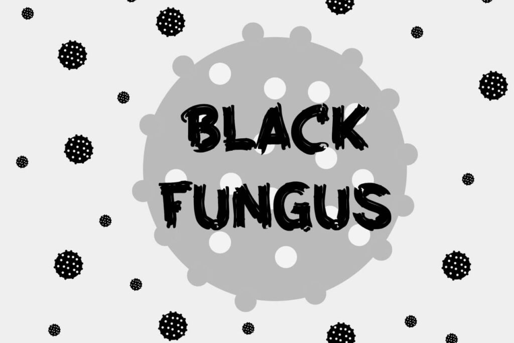 black mould black fungus