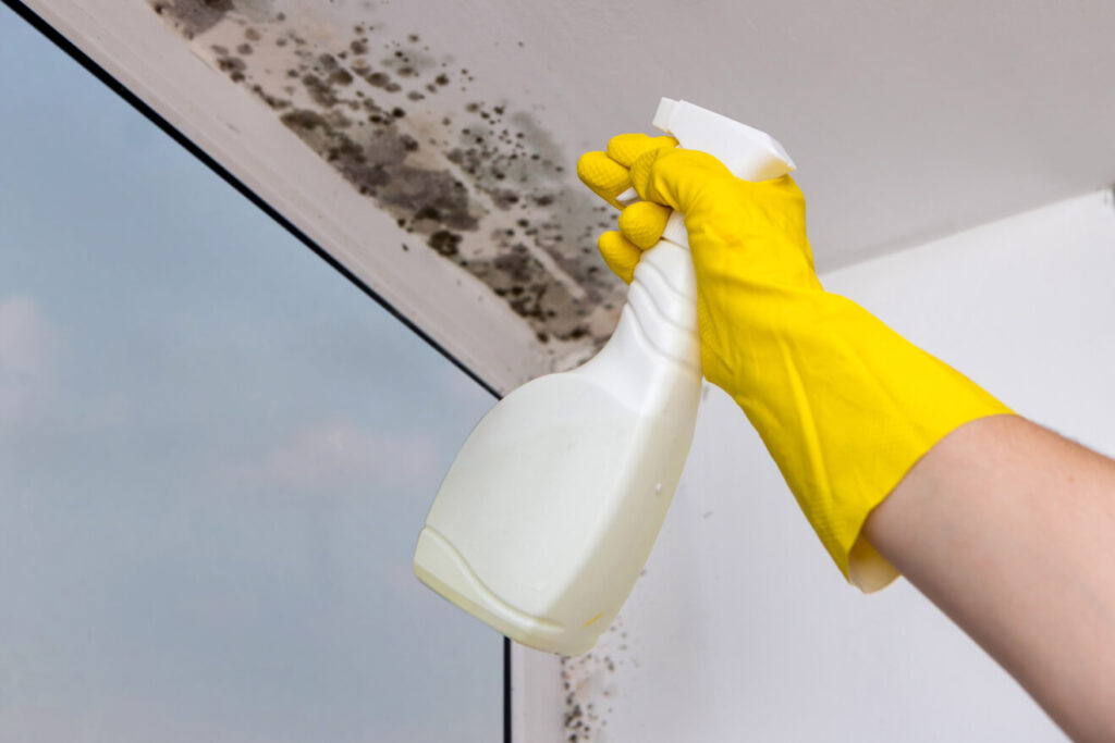 Removing black mould from window