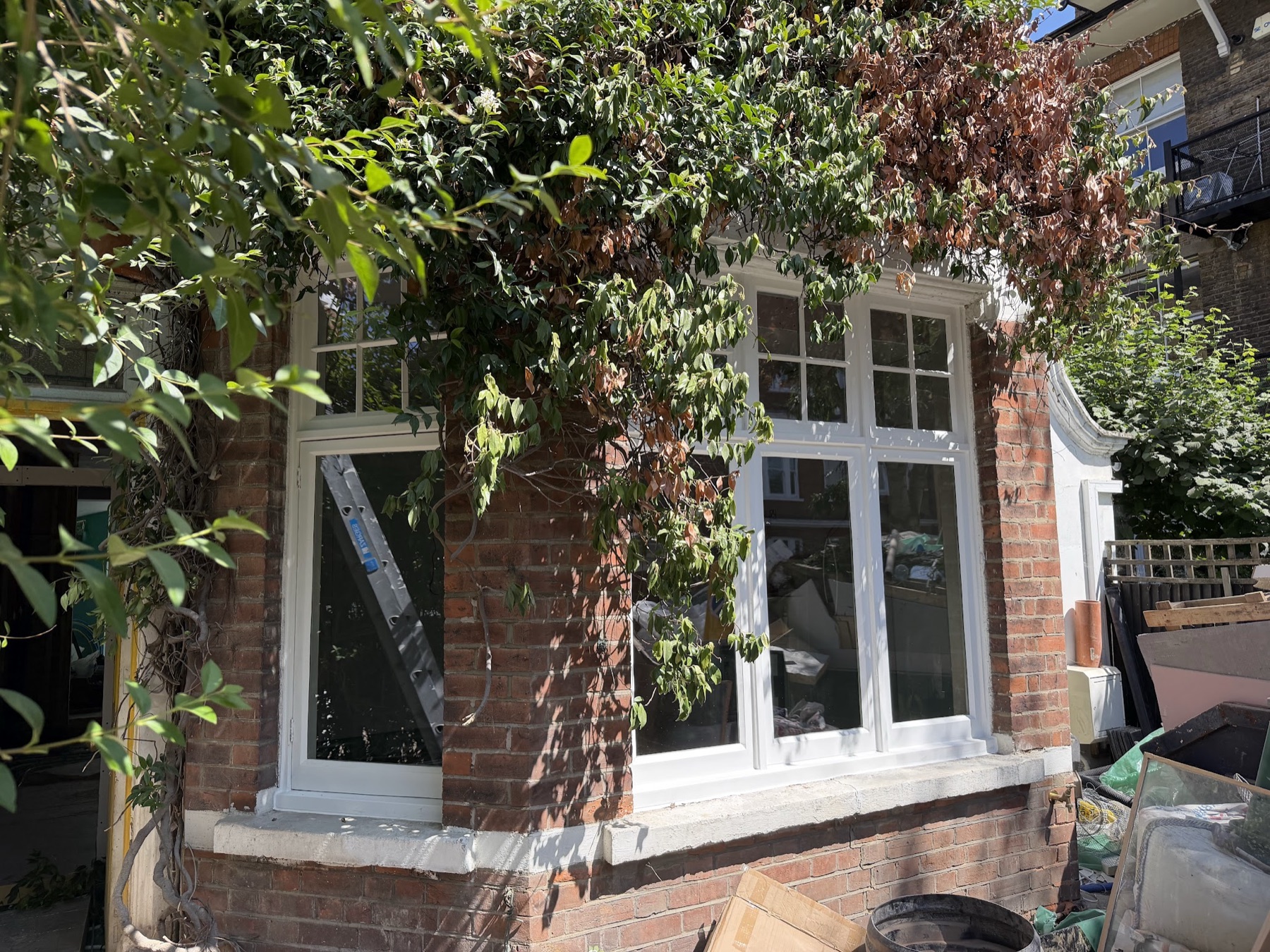 Ground-floor casement bay restored and reglazed, white frames and six-pane top lights under a climbing plant, seen from the garden