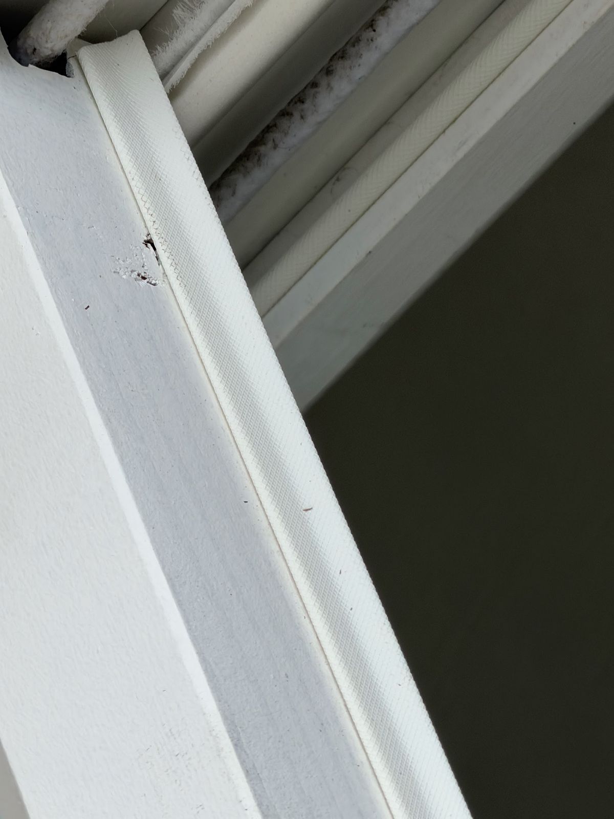 Close-up of a concealed brush-pile draught seal set into a new primed timber bead